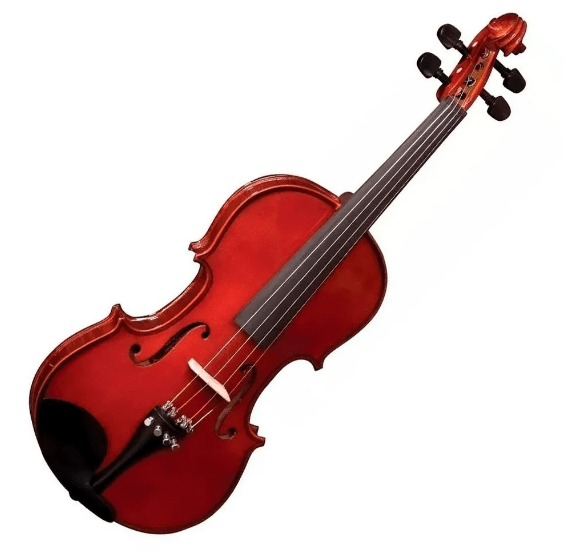 Violino 4/4 c/Estojo Acessórios em Boxwood EAGLE VE-441 