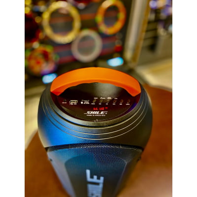 Caixa Acústica Ativa SHILE c/bateria 2x08" + Microfone sem fio SL-2019