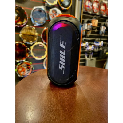 Caixa Acústica Ativa SHILE c/bateria 2x08" + Microfone sem fio SL-2019