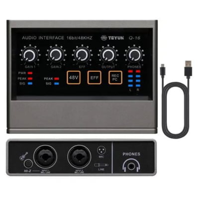 Interface de Áudio TEYUN Q-16