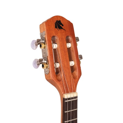 Banjo MARQUÊS Ativo Aro Jateado BAJ-138 