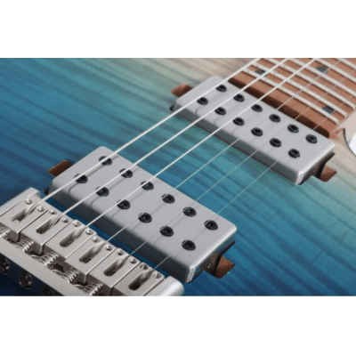 Guitarra Schecter C1 Standard Plus BLF