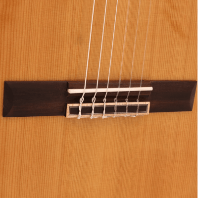 Violao Classico Acustico Zellmer Primevo Cedro Nylon Brilhante 2107