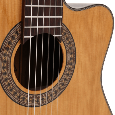 Violao Eletroacustico Classico Zellmer Primevo Cedro Cutaway Brilhante 2109