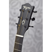 Violão Tagima Aço Folk ANDES - COR: MDSVS(Metallic Deep Silver Satin)