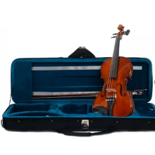 Violino 4/4 c/Estojo Acessórios em Boxwood EAGLE VE-441 